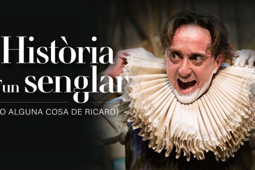 HISTÒRIA D'UN SENGLAR (O ALGUNA COSA DE RICARD) HISTÒRIA D'UN SENGLAR (O ALGUNA COSA DE RICARD)