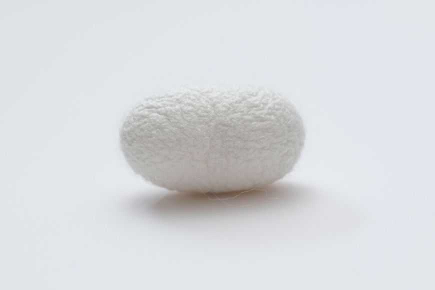 RRRRR, HISTÒRIA D'UNA ERUGA RRRRR, HISTÒRIA D'UNA ERUGA