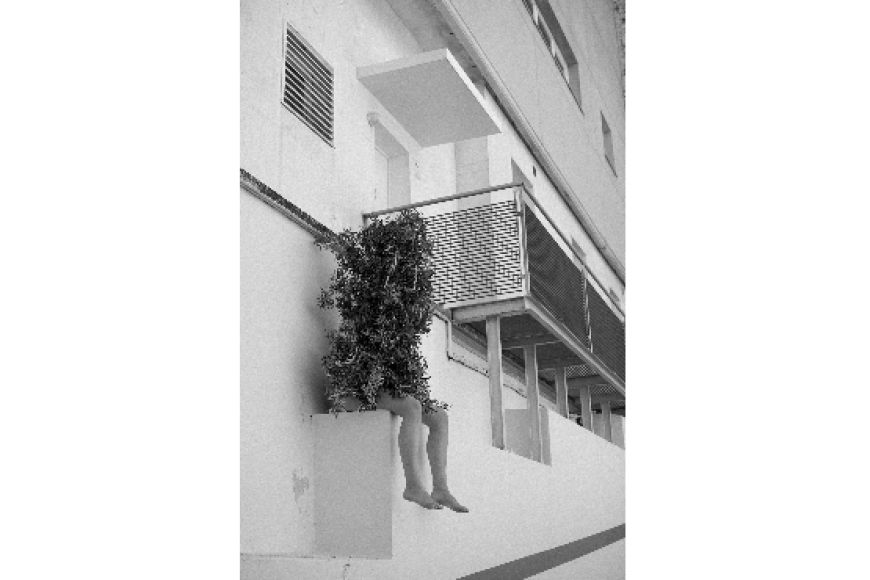 El plural d'arbre és nosaltres (KONVENT a l'Antic) El plural d'arbre és nosaltres (KONVENT a l'Antic)