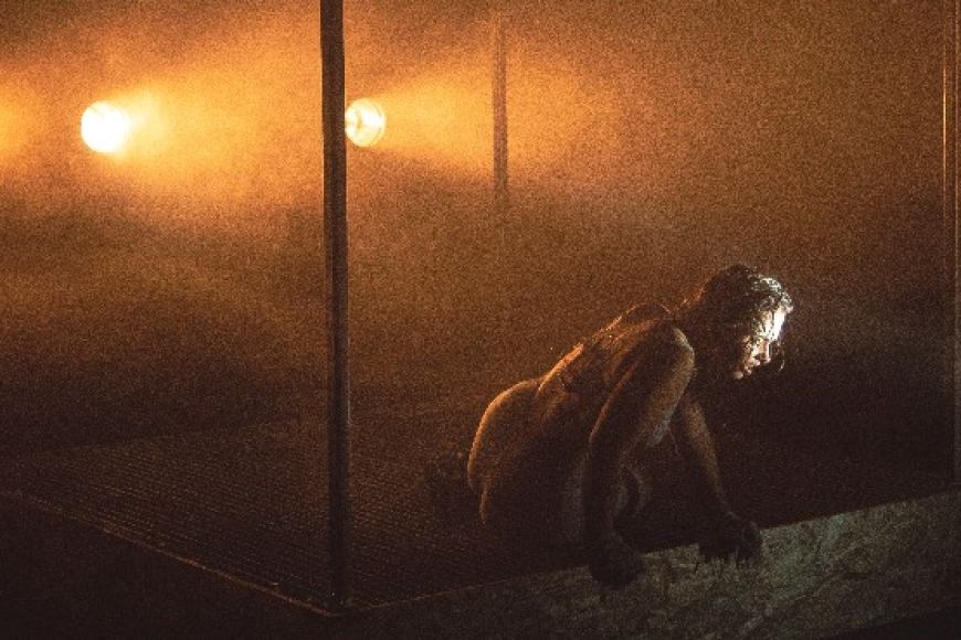 La nit just abans dels boscos La nit just abans dels boscos