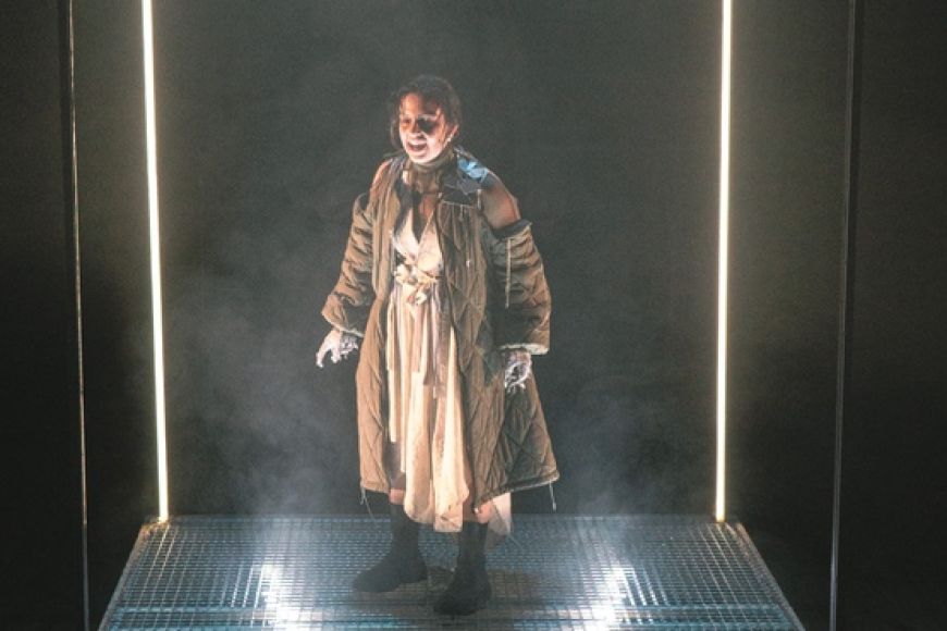 La nit just abans dels boscos La nit just abans dels boscos