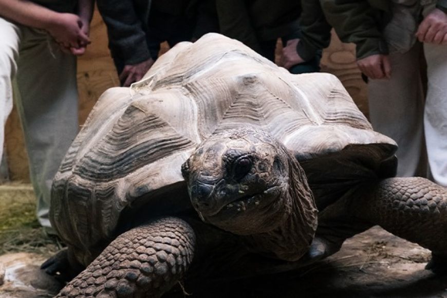 LA TORTUGA DE DARWIN LA TORTUGA DE DARWIN
