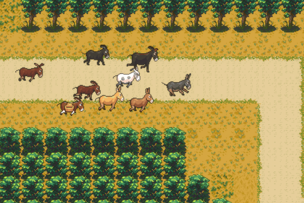 ASSES.MASSES | Festival IF ASSES.MASSES | Festival IF