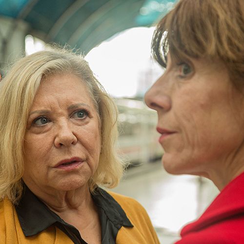 La meitat de l'ànima