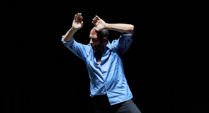 EL MONTE DE LOS OLIVOS