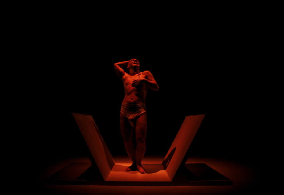 EL ALIMENTO DE LAS MOSCAS