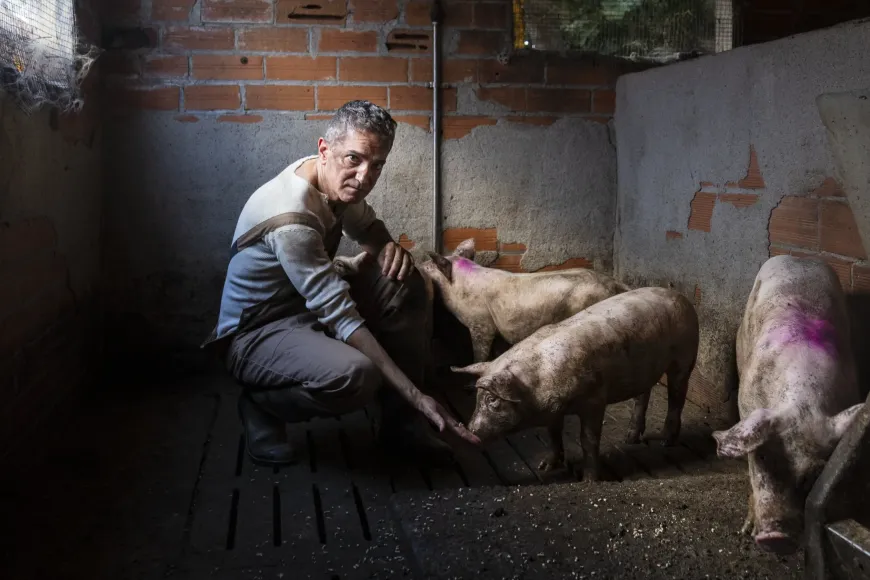 EL LLADRE DE LLIBRETES